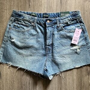 Wild Fable denim shorts - Brand New! High-Rise shorts